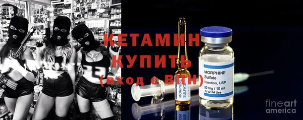 стаф Снежногорск